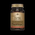 Solgar Vitamin B12 Methylcobalamin 1000 mcg (60 Sublingual Nuggets / Tablets)