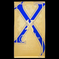 Xerjoff Accento Overdose Unisex EDP - 100ML